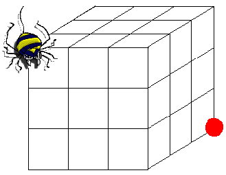 cube.gif